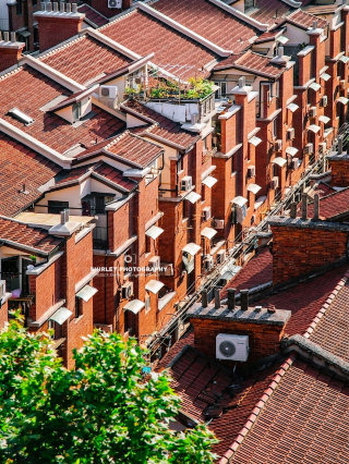 Langit-langit lorong bergaya Shanghai: Sebuah lorong bernama Lorong Xiafei, separuh sejarah Republik Tiongkok.
