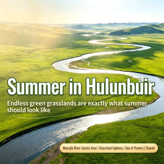 Hulunbuir Summer Guide