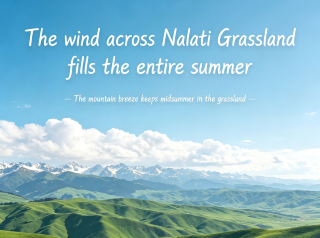The breeze of Nalati Grassland fills the entire summer.