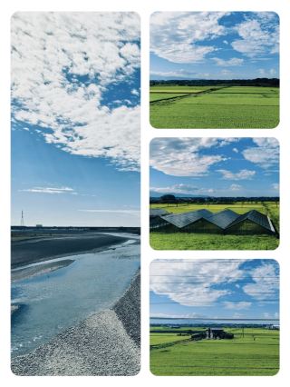 The Shinkansen speeds through the vast plains of Shizuoka, where the Oi River and rice paddies weave together a soothing summer scene