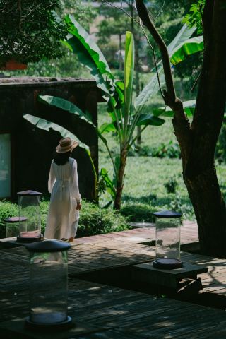 景邁柏聯茶園茶藥溫灸SPA
