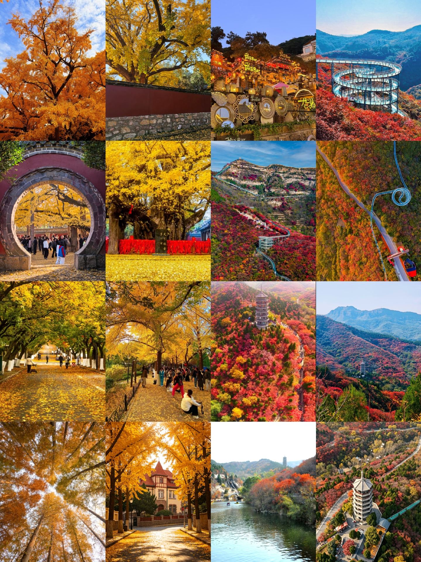 Puncak Musim Gugur di Shandong! 4 Destinasi Hidden Gem untuk Menikmati Suasana Romantis🍁