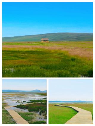 Gahai Lake: I Went for Birds and Ended Up Crying on a Grassland for No Reason