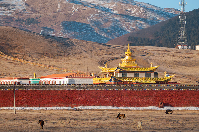 Practical 5-Day Northern Sichuan Route Guide! Experience Tibetan Culture, Snow-Capped Mountains, and Grasslands All in One Trip