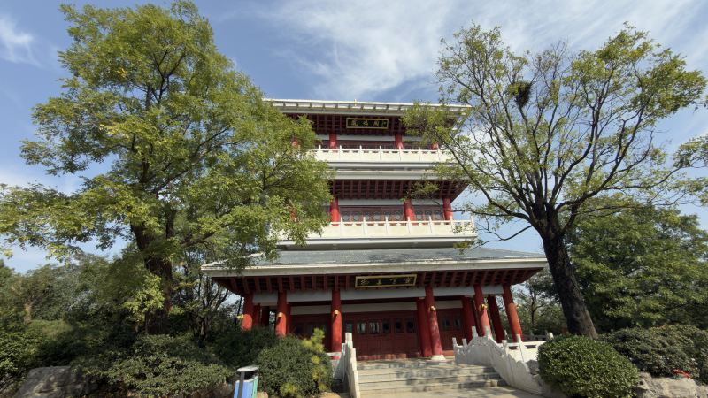 Zaozhuang Xuecheng "reverse tourism" one-day trip guide | The perfect combination of flower viewing, climbing, and stunning live performances