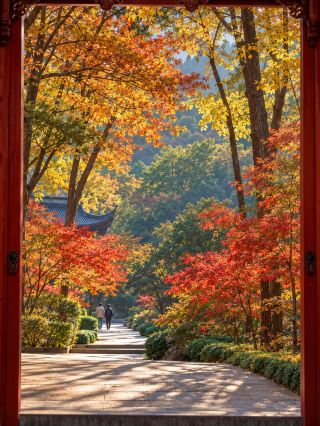 วัดหยงฟู (Yongfu Temple) ในเดือนหน้าจะสวยงามดั่งสรวงสวรรค์...