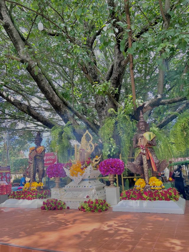 พาไปมูองค์ท้าวเวสสุวรรณ ท่านให้เลขเด็ด เกือบถูกหวย
