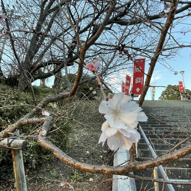 【福岡】黒田官兵衛ゆかりの神社