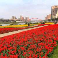 Feel the Love on the Rainbow Bridge