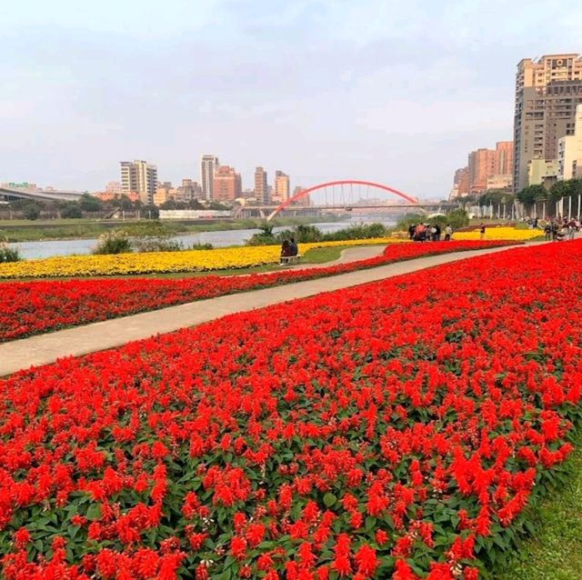 Feel the Love on the Rainbow Bridge