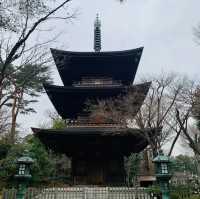 lucky cat temple 