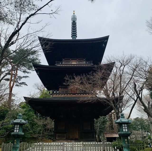 lucky cat temple 