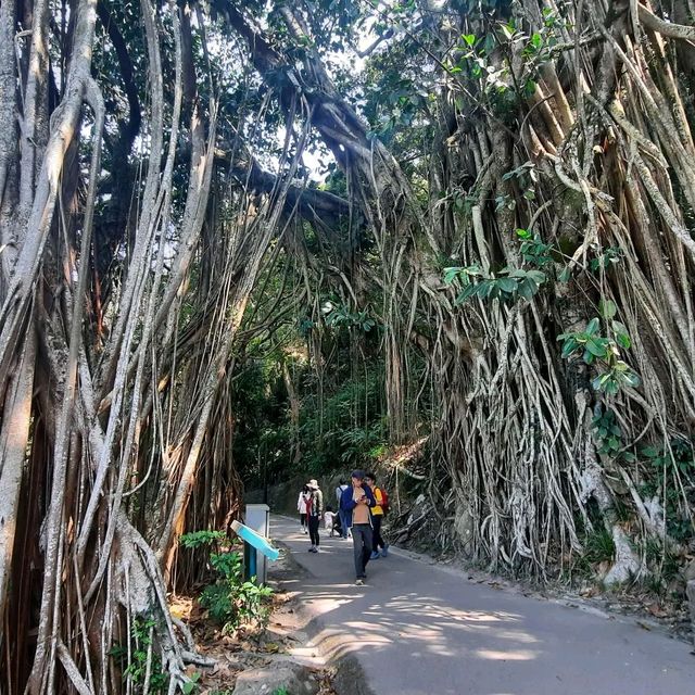 輕輕鬆鬆山頂之旅⛰