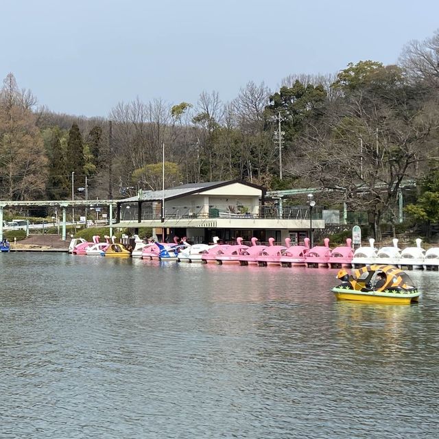 名古屋必去 - 東山動植物園！還有遊樂場！