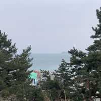 양양 오션뷰 숙소 낙산 비치호텔에서 힐링을🫧