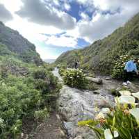 Beautiful valley of flower 