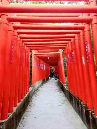 【山口】絶景スポットがある！福徳稲荷神社