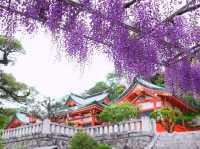 【足利の社寺】（栃木県足利市　旧国名：下野）