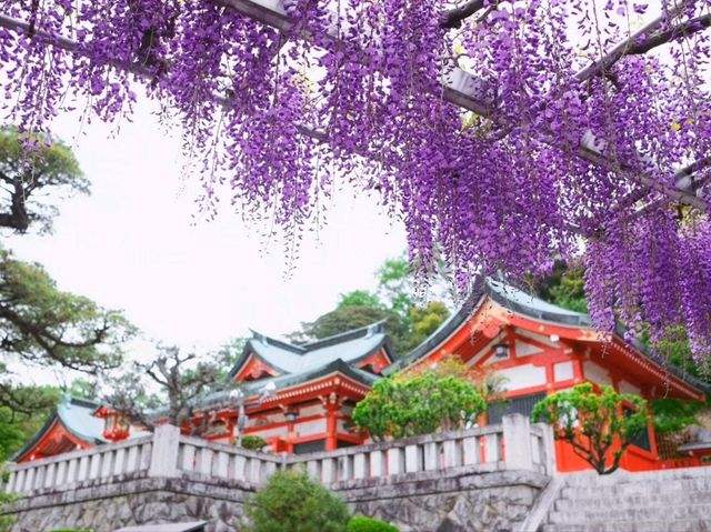 【足利の社寺】（栃木県足利市　旧国名：下野）