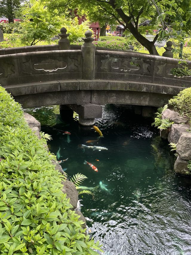도쿄 필수 관광지 "센소지"⛩️