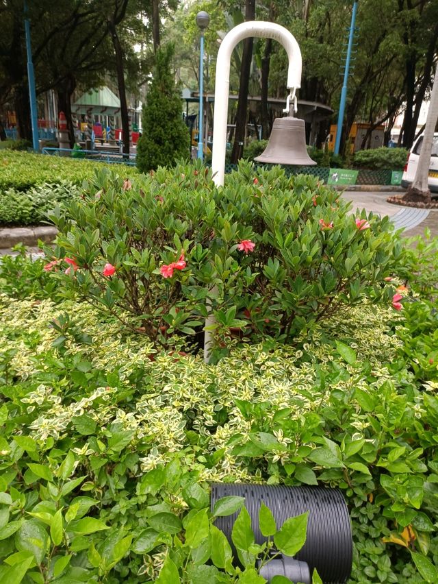 與你同行【卑路乍灣公園】,心靈來得平静,安穩!