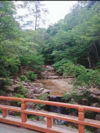 【広島県】揚げもみじ食べ行こう！ "宮島" へ