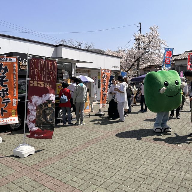 東京近郊賞櫻地推介 - 長瀞川