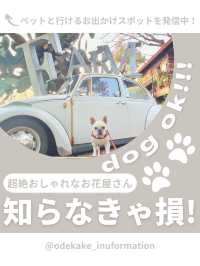 【川崎】インスタ映え抜群なお花屋さん🌼