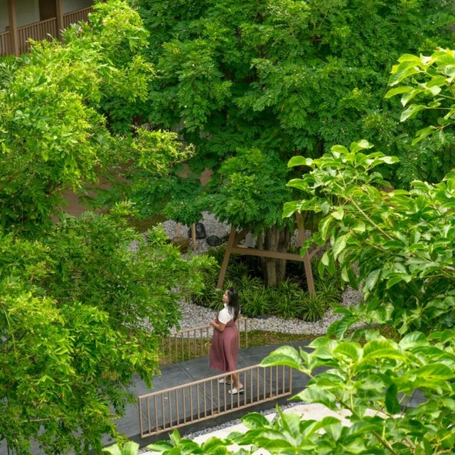 นอนฟิลญี่ปุ่นสวนเขียวๆที่พักน่ารักๆเหมือนอยู่คาเฟ่