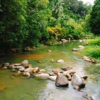 🌿 กรีนซีซั่นแบบนี้ พาไปอบอุ่นร่างกาย 🏞