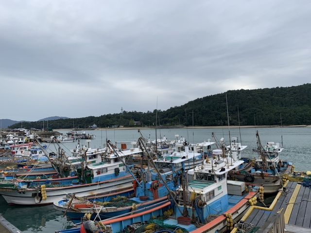 모든 해산물들의 집산지, 고흥 녹동항