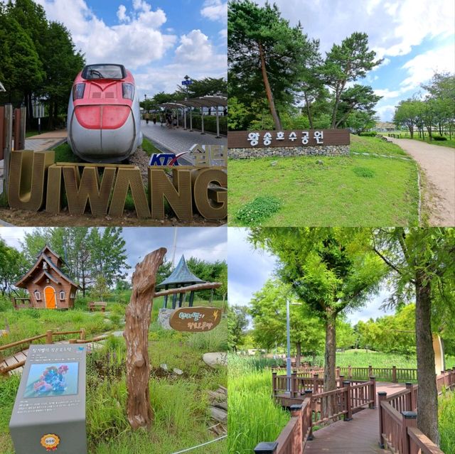 韓國景點😍義王鐵道自行車☺️風景優美⭐打卡靚📸
