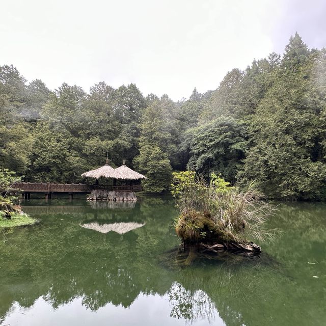 阿里山 - 享受森林浴、淨化心靈