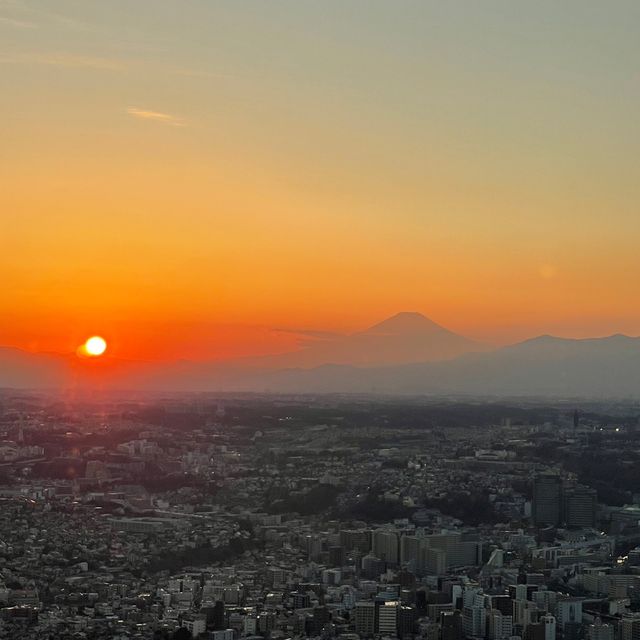 横浜の夜景