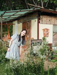 Mori Natural Farm โมริ เนเชอรัลฟาร์ม เชียงใหม่🌳☁️