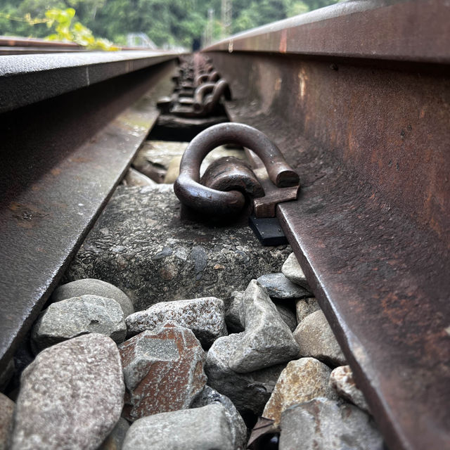 龍騰鐵道自行車