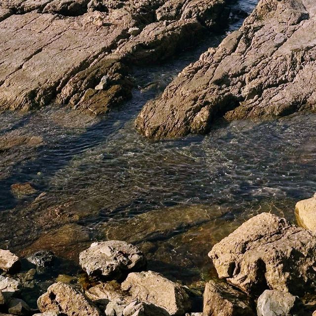 🌊 부산의 아름다운 해안선을 따라 이기대 수변공원에서.