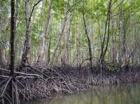 ล่องเรือหัวโทง เที่ยวเขาขนาบน้ำ ชมถ้ำโบราณ 