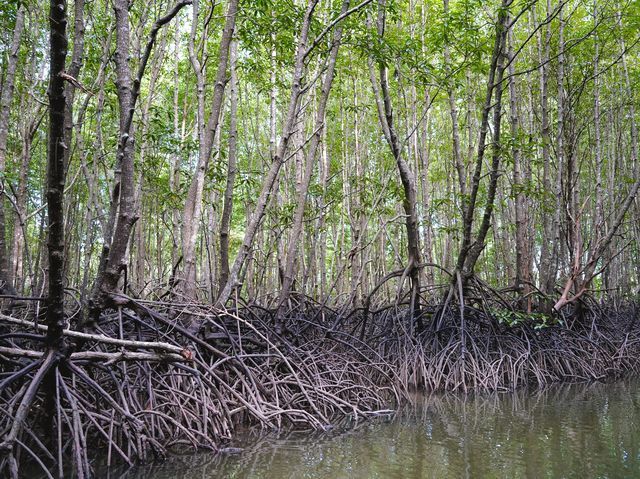 ล่องเรือหัวโทง เที่ยวเขาขนาบน้ำ ชมถ้ำโบราณ 