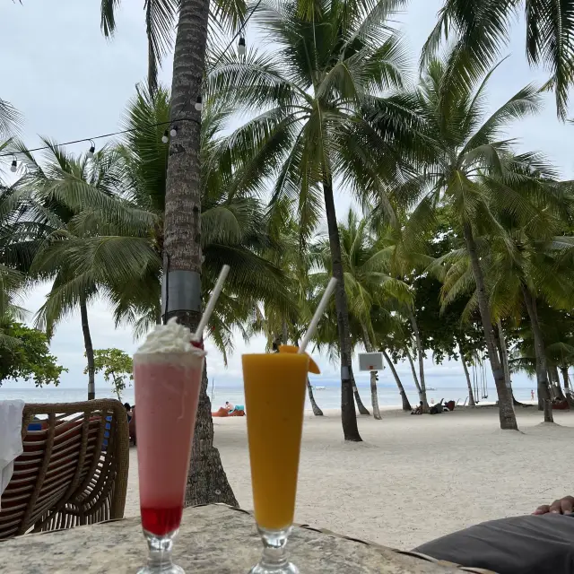 Best Beach in Bohol - South Palms 🇵🇭