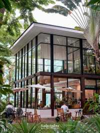 🌳🌿🍃 Mivana - มีวนา ร้านกาแฟฟีลป่าในเมือง