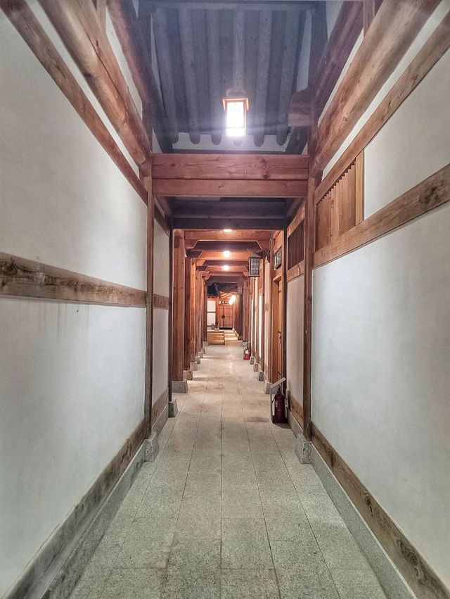 야경즐기기 좋은 영천 동의한의마을✨️