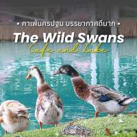 The Wild swans Café and Lake - คาเฟ่สวยนครปฐม