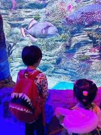 打卡必度海底隧道🐬🐟🐠 10,000尺超大型水族館❤️