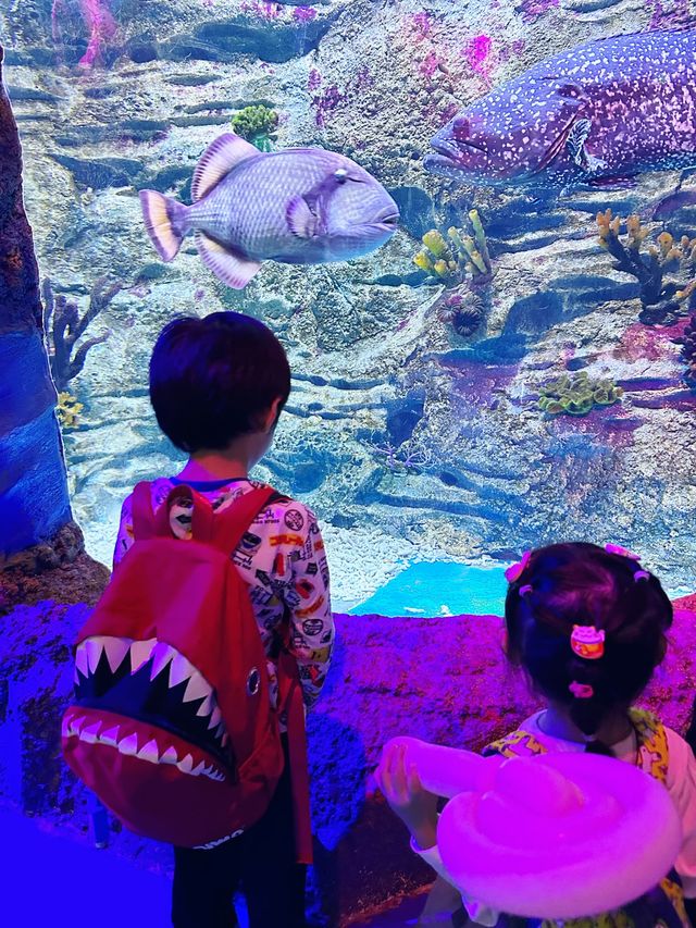 打卡必度海底隧道🐬🐟🐠 10,000尺超大型水族館❤️
