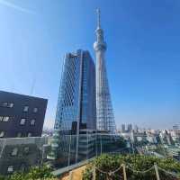 CP值高3人房押上住宿體驗😀