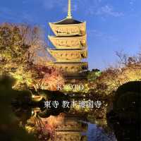 【京都】大人旅　秋の京都ココは外せない！