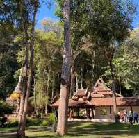 นั่งสมาธิธรรมชาติบำบัด ที่วัดผาลาด