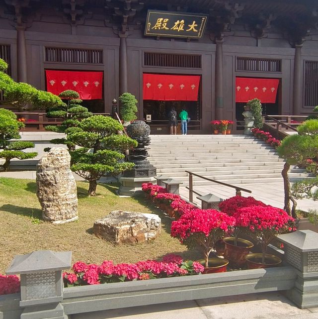 珍石展覽！大雄殿，觀音殿，藥師佛殿環立！氣象千字萬宙！