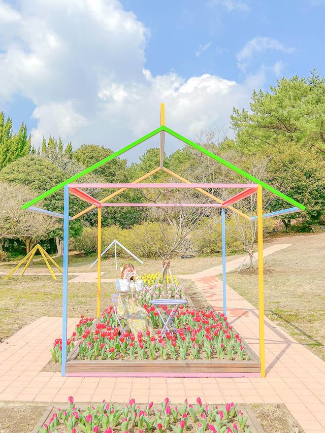 튤립 축제가 열리고 있는, 제주 상효원🌷